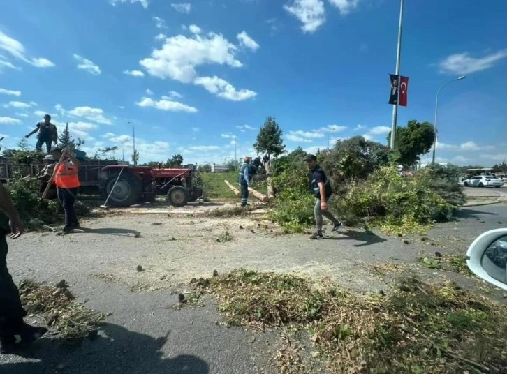 Ağaçların kesilmesi ile ilgili olarak Kilis Belediyesi'nden açıklama