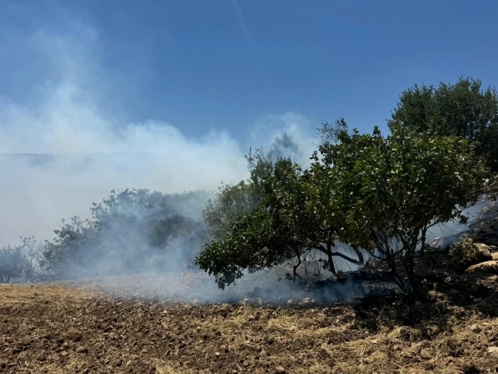 Anız yangını fıstık bahçelerine sıçradı