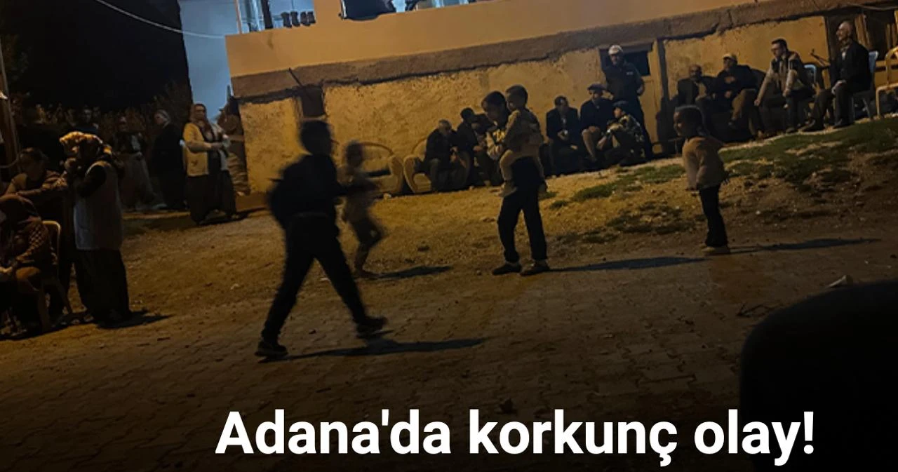 Annesini bıçaklayıp bastonla boğarak öldürdü