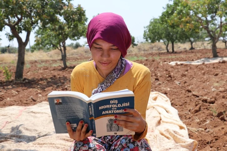 Diş hekimi adayı genç kız, yaz tatilini tarım işçisi olarak geçiriyor