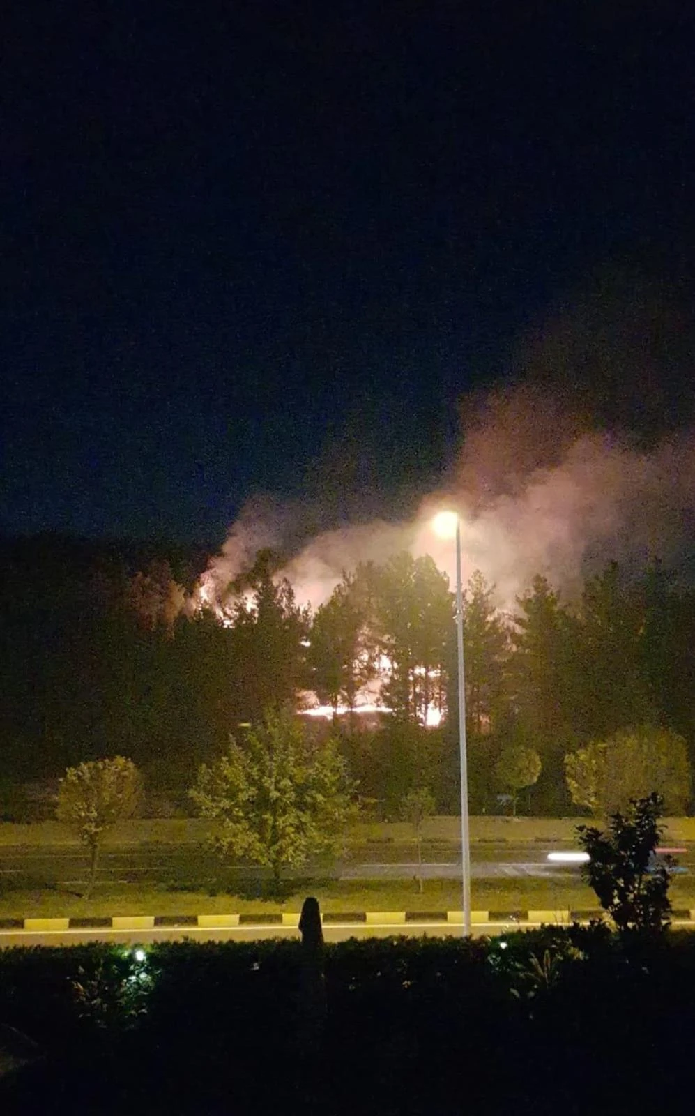 Gaziantep Burç Ormanı yanıyor