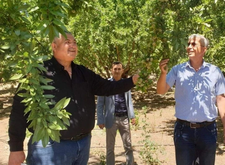 “Hububatta yaşanan sıkıntı badem de yaşanmasın”