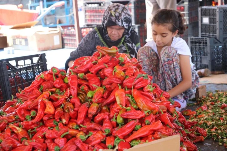 İsotun acı serüveni başladı