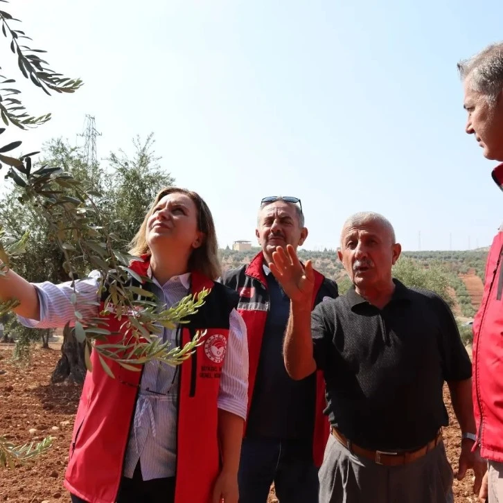 Kilis'te İyi Tarım çalışmaları