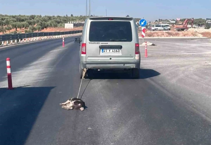 Köpeği aracına bağlayıp sürükledi