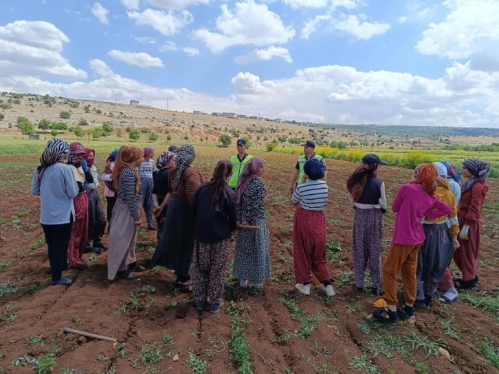 Mevsimlik tarım işçilerine jandarmadan eğitim