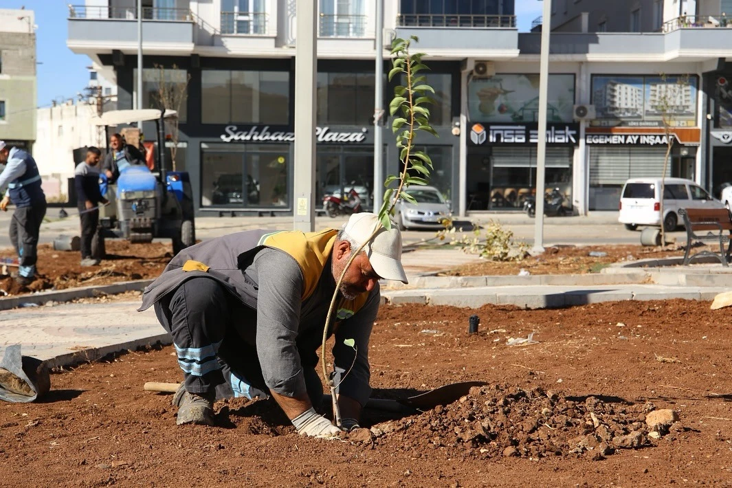 Parklara çeşitli bitkiler ekiliyor