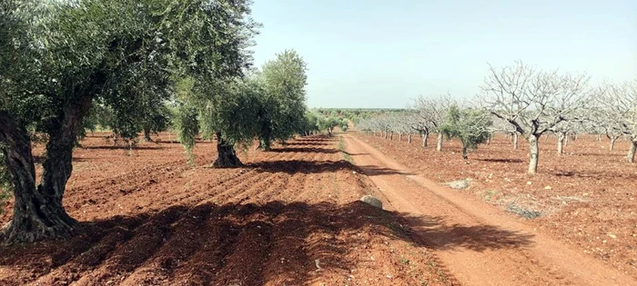 Sınır çiftçilerinin izin tepkisi