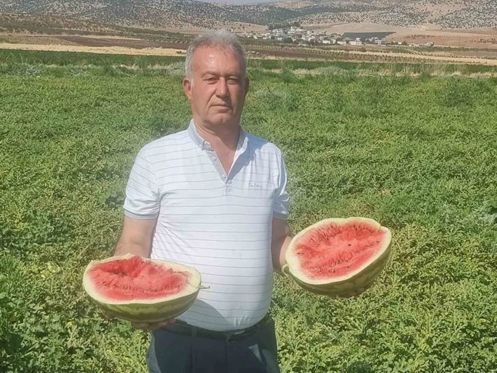 “Tarlada bedava, rafta ateş pahası”