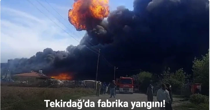 Tekirdağ’da fabrika yangını