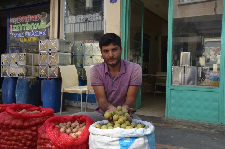 Yeni mahsul cevizler satışta