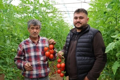 400 metrekareyle başlayan seracılık 30 dönüme ulaştı