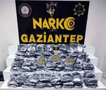 51 kilo skunk ele geçirildi