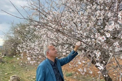 Bahar erken geldi!