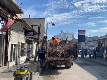 BELEDİYE TARAFINDAN YOL KENARINDA Kİ AĞAÇLAR BUDANIYOR