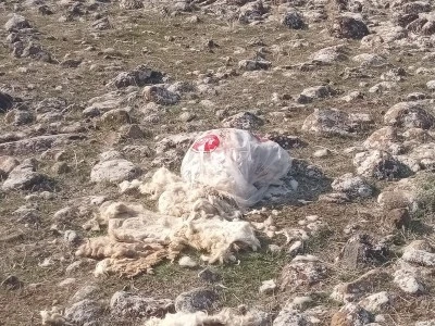 Bir Zamanlar Vazgeçilmezdi Şimdi Çöplükte [ÖZEL HABER]