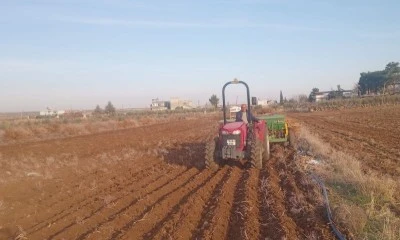 Çiftçi Umudunu Kaybetmek İstemiyor ( Özel Haber)