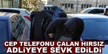 Evden telefon çalan şahıs adliyeye sevk edildi