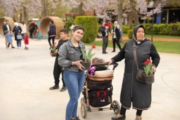 Gaziantep'te lale devri