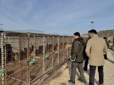 Geçici hayvan bakımevi denetlendi