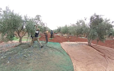 Hasat kuraklığın gölgesinde devam ediyor [ÖZEL HABER]