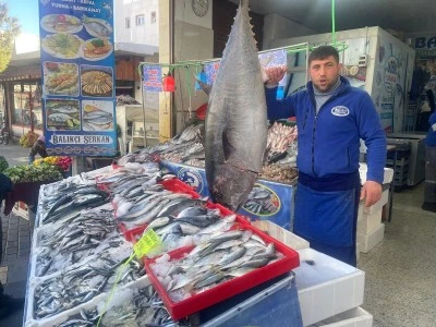  Kilis'te 100 Kiloluk Dev Balık Görenleri Şaşkına Çevirdi