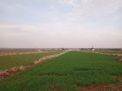 Kilis`te Köyler yeşil elbisesini giydi