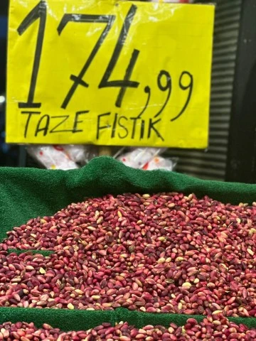 Kilis’te taze fıstık fiyatı 175 TL’ye düştü