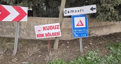 Köpek kuduz çıktı, mahalle karantinaya alındı