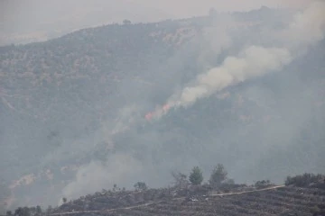 Manisa Belediyesi tüm birimleriyle yangın bölgesinde