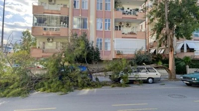 Mersin'de fırtına ağaçlar devrildi, araçlar zarar gördü camlar kırıldı