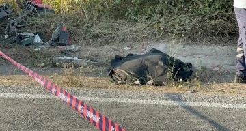 Motosiklet sürücüsü kamyonun altında kaldı: 1 ölü