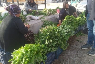 Ot satarak geçimlerini sağlıyorlar