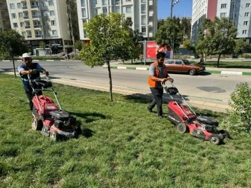 Parklarda çim biçme çalışmaları sürüyor