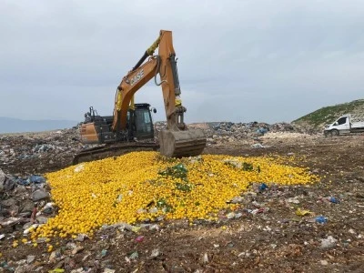 Pestisit tespit edilen Dubai’ye ihraç edilecek 71 ton limon imha edildi