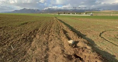 Poşet içerisinde bebek cesedi bulundu