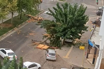 Şiddetli rüzgar çatıları uçurdu, ağaçları kökünden söktü