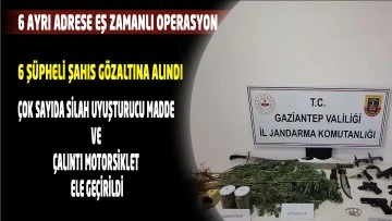 Silah kaçakçılığı ve uyuşturucu operasyonu: 6 gözaltı