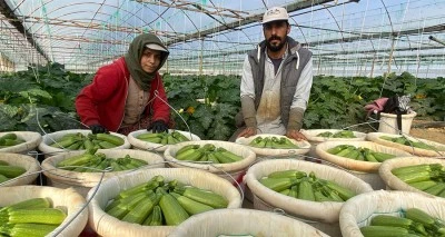 Suriye’den kaçıp Türkiye’de evlenen çift: “Esad’ın yaptığını bize gavur yapmadı”