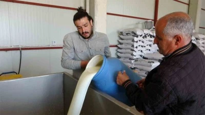  Ticari süt işletmelerince 941 bin 377 ton inek sütü toplandı 