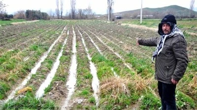 Yağışlar çiftçinin yüzünü güldürdü [ÖZEL HABER]